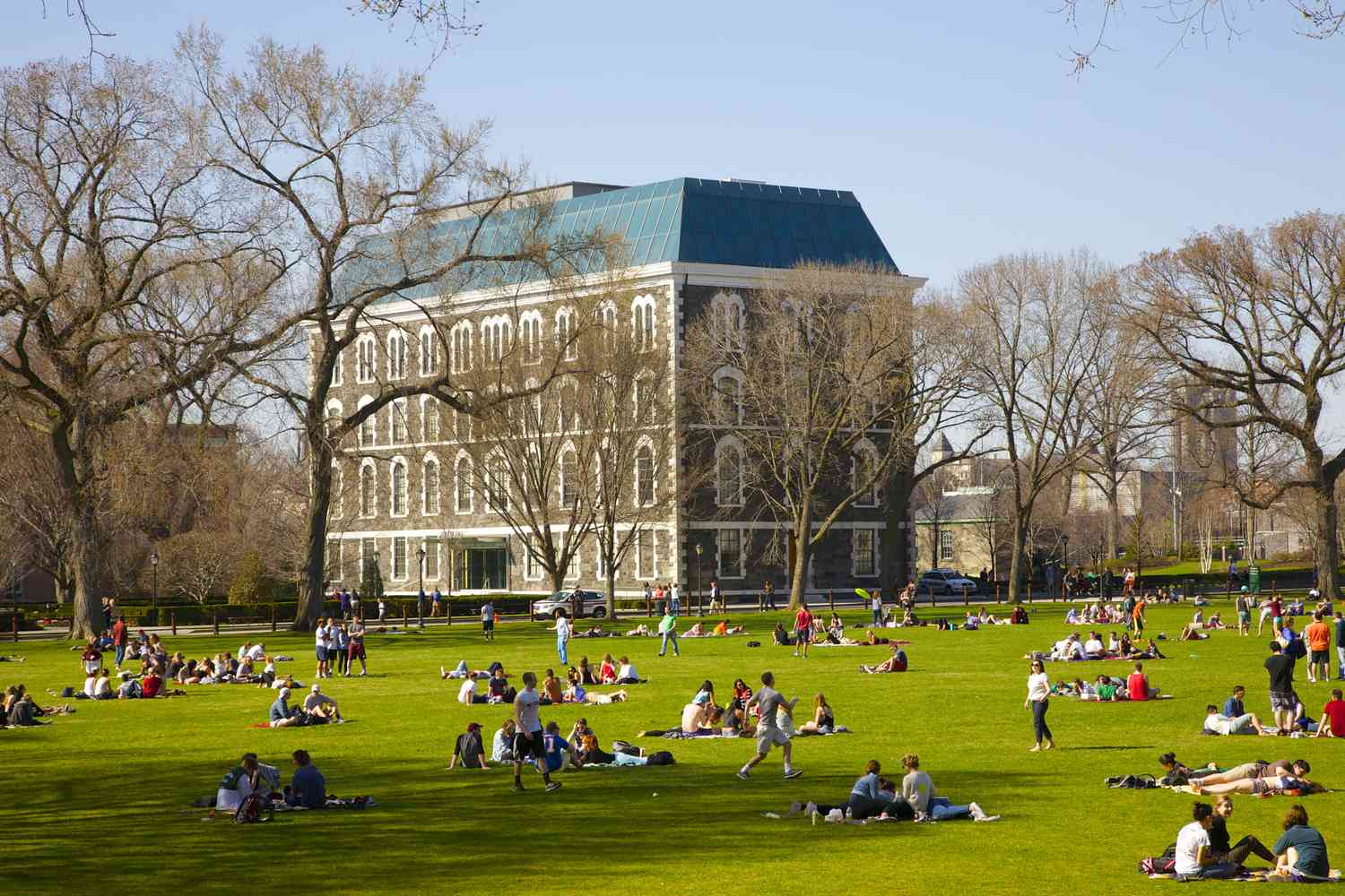 Students relaxing on the Fordham Rose Hill quad on a sunny afternoon